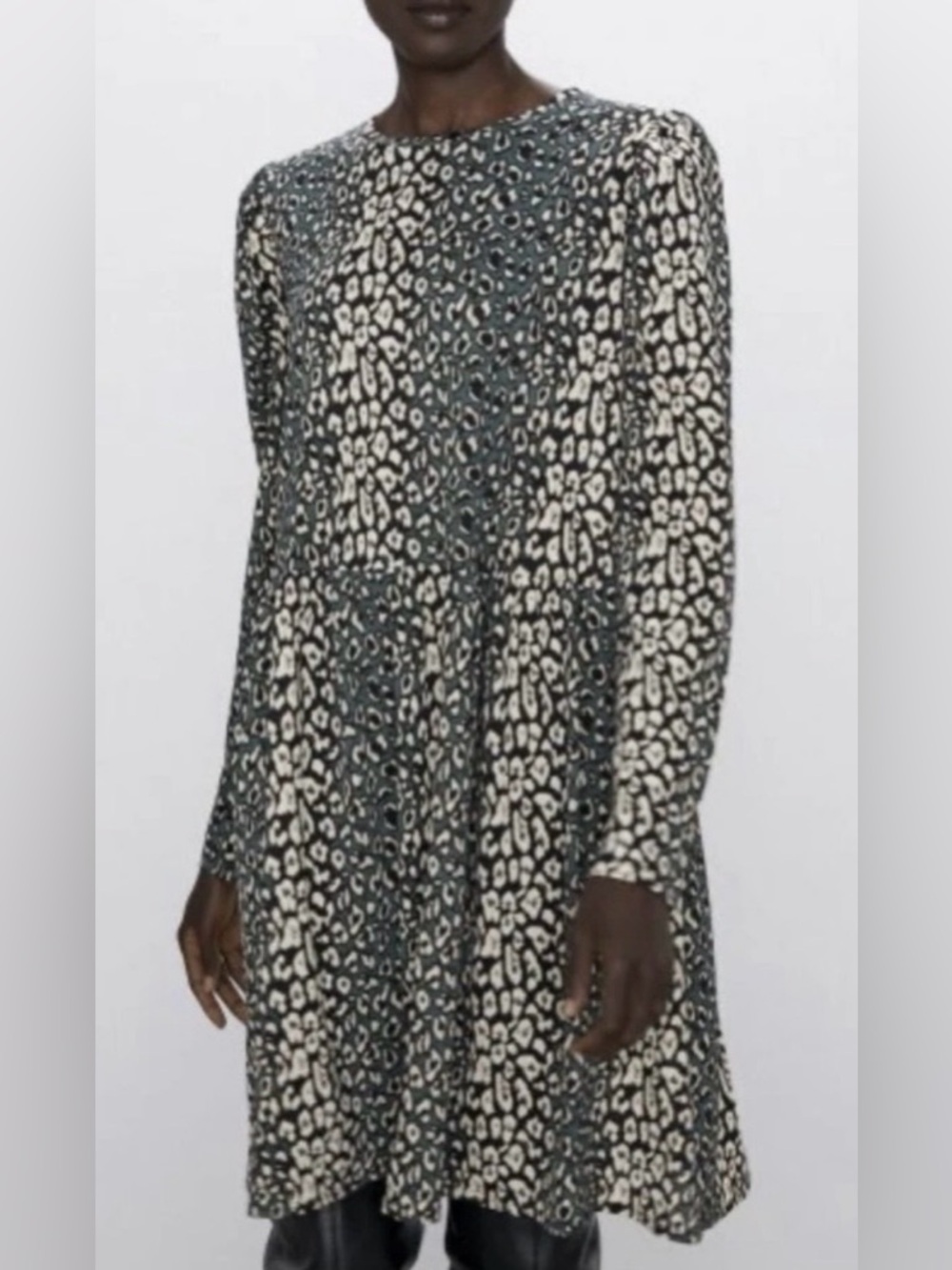 Zara Animal Print Long Sleeve Dress